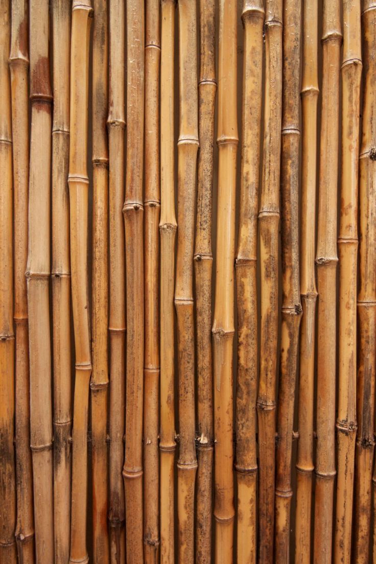 For the Love of : Bamboo